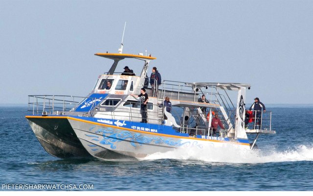 Wilfred Chivell se pragtige boot, Dream Catcher, met haar eerste binnekoms van Kleinbaai hawe